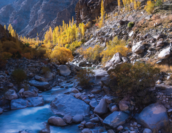 Ladakh Aryan valley Tour